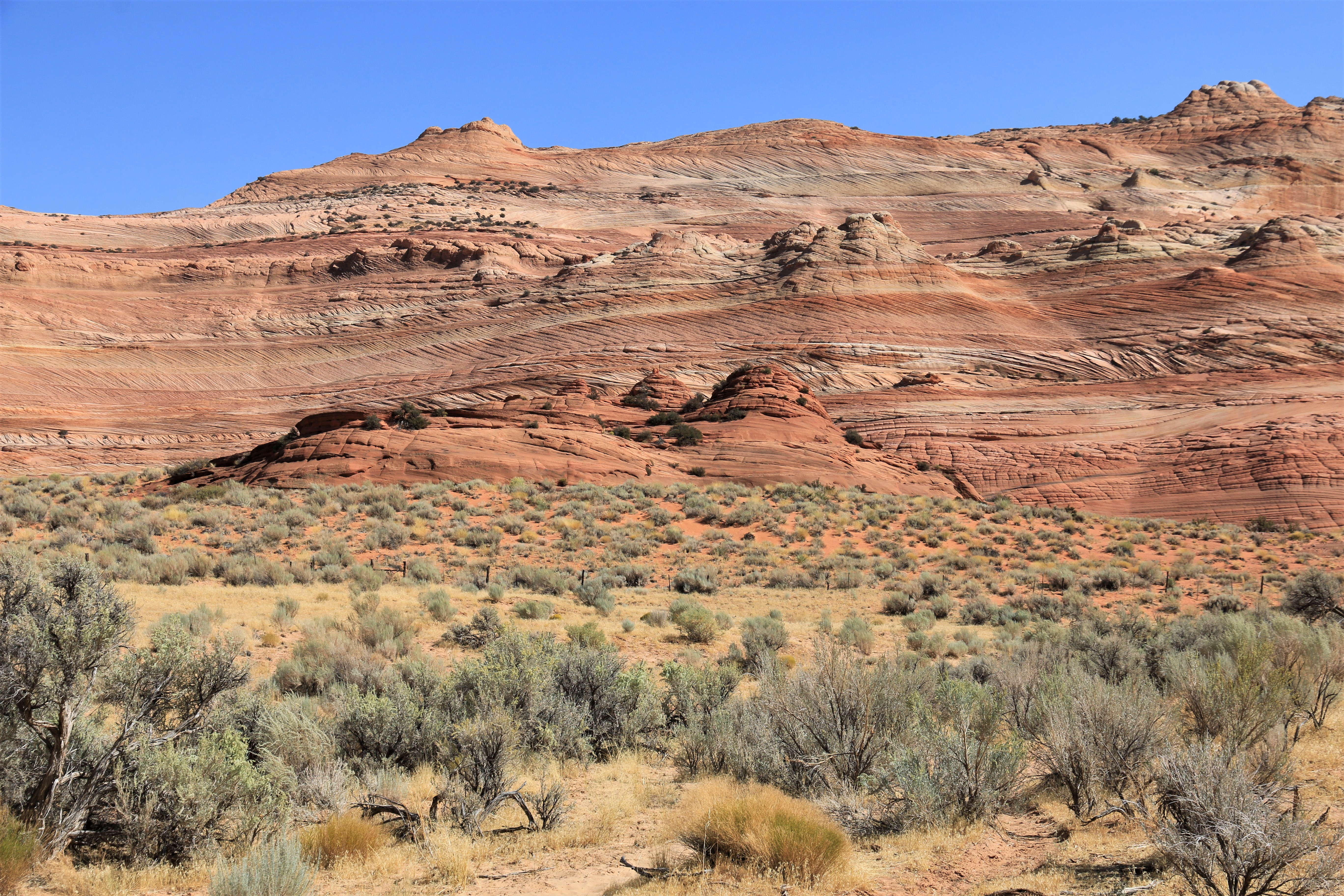 Vermillion Cliffs NM